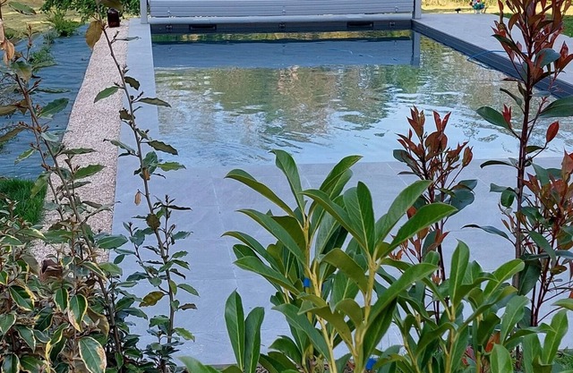 Vrbo Property