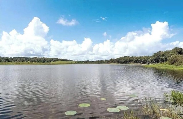 Water's Edge - a lakefront oasis. 10 peaceful, private acres w' stunning views.