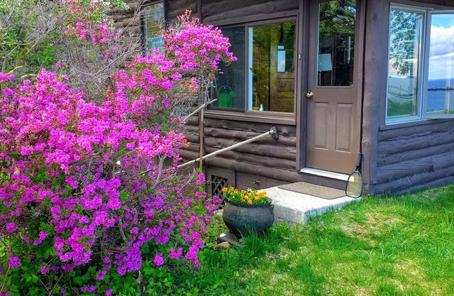 Waterfront Cabin with Million Dollar View and Luxury Bath! Find Shark's Teeth!