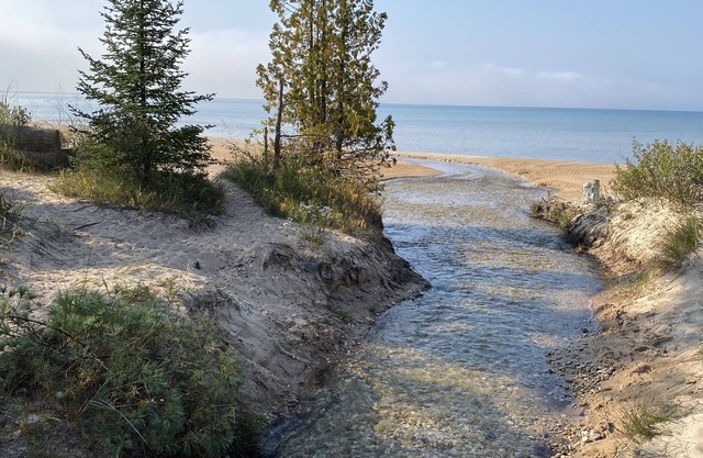 Waterfront Condo On Little Traverse Bay. Beaches, Tennis,Near Golf And Ski