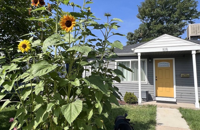 West Wash Park - 2 Bedroom w/large fenced backyard