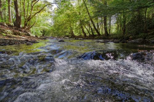 Whispering Creek