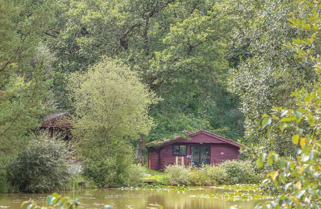 WHITE HEN, family friendly, with a garden in Halwill Junction