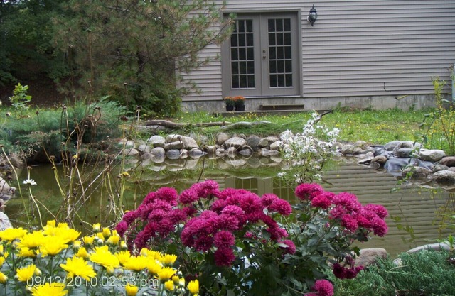 White Mountain Retreat - Family/Pet Friendly- Year Round : Ski areas Close by!