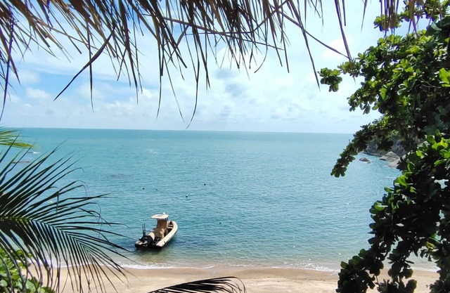 Whynam Beach