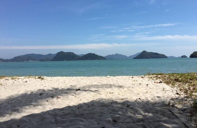 Wild Pasir Panjang