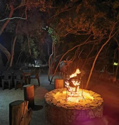 Wildland Safaris
