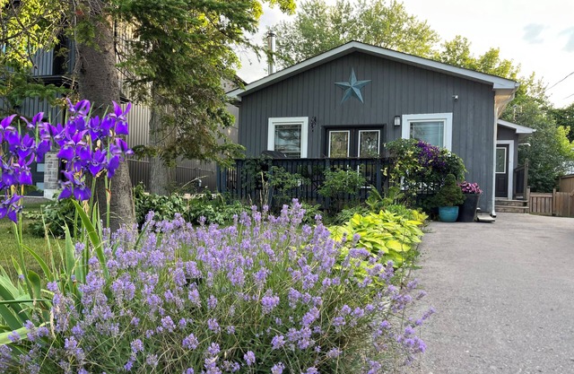 Willow Beach Renovated Cottage Retreat. Pet-Friendly!