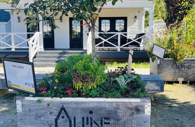 Wine Country Gem in downtown McMinnville. Walk to Wineries & Restaurants!