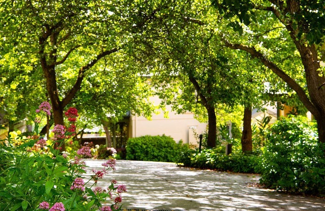 Wisteria View - Shared Indoor Pool in Daylesford