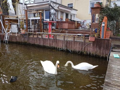 Wohnung im Haus am See von Berlin