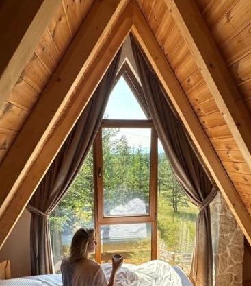 Wonderwood Cabin 2