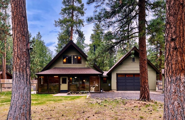 Wooden A-Frame Cabin Nestled in the Tall Pines