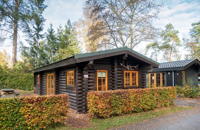 Wooden chalet near De Veluwe National Park