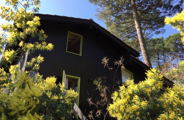 Wooden chalet on Lacanau lake: a haven of peace surrounded by nature .