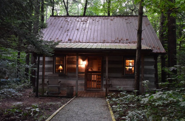 Woodland view-Blue Log Cabin