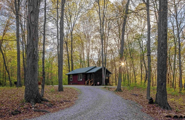 Woods Cabin, secluded with hot tub