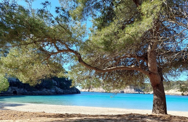 Xaloc & Garbí - Apartamentos en Cala Galdana