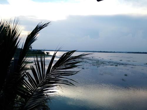 yala treetop lake