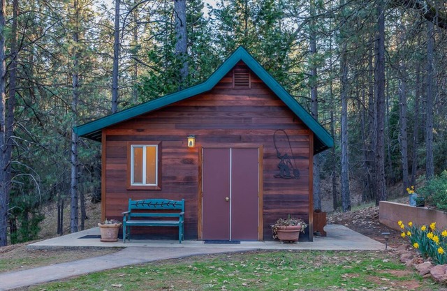 Yosemite Country Cabin - Modern & Private in a woodland setting.