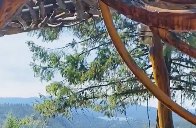 Your Dream Getaway - Large Cabin in Coeur D'Alene