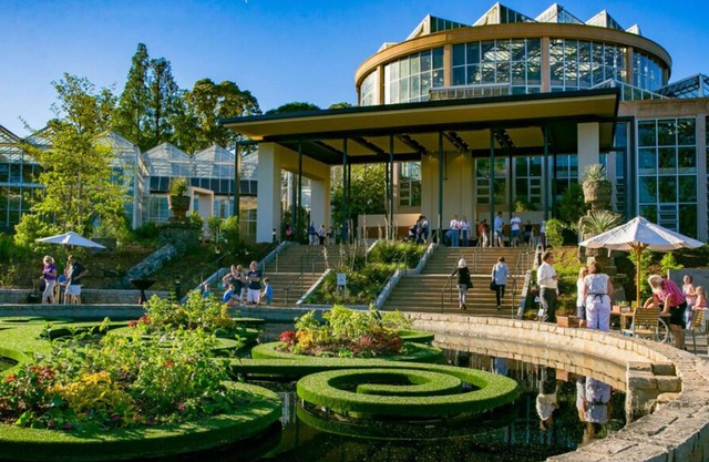 Your Home Away From Home! Short Drive to Georgia Aquarium, Pet-Friendly