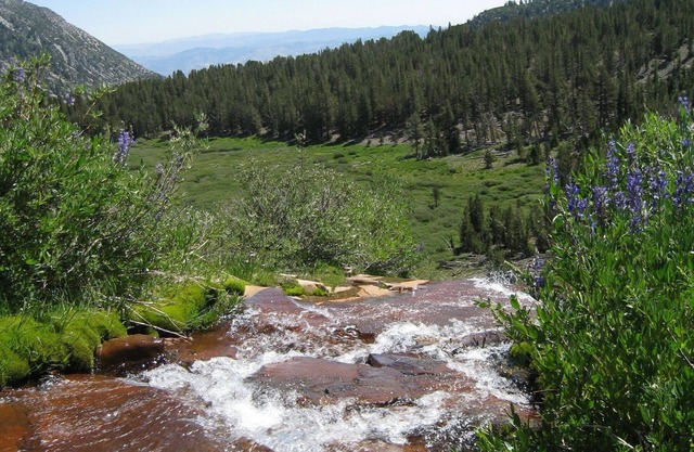 Your home away from home, nestled in the forest but close to everything!