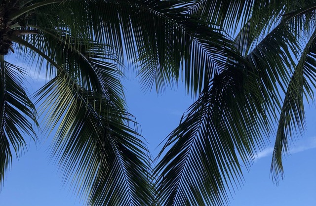 Your Home Away from Home in Vero Beach