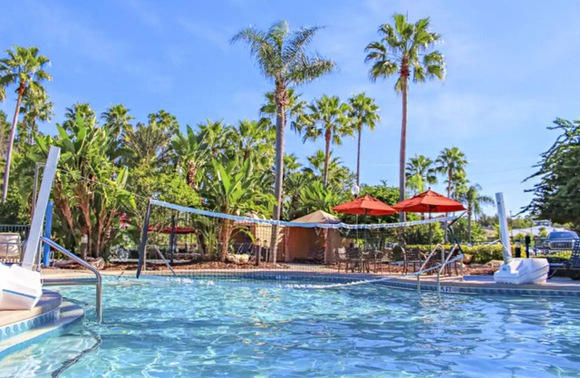 Your Magical Home in Florida! Swimming Pool, Free Shuttle, Kitchen!
