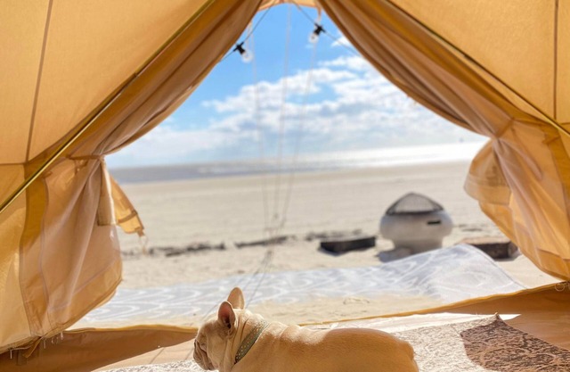 Yurt on the Beach