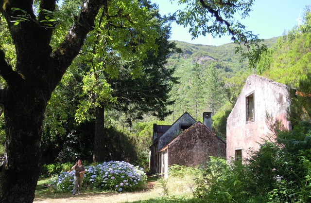 Zefocooke Chalet - A place to love