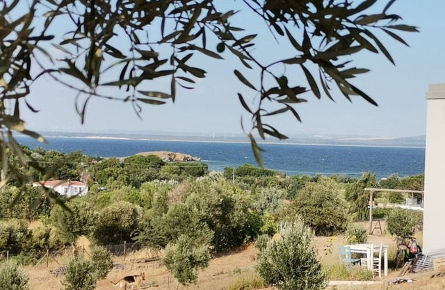 Zeus kır evi