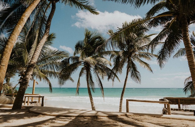 Zorba Tulum Beach Homes