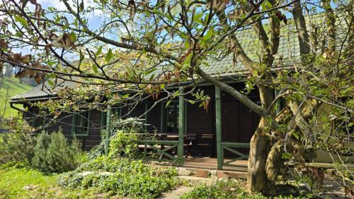 Lapsze Nizne Ski Chalet | Łapszanka 29