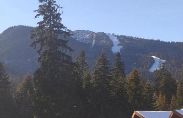 Borovets Apartment | Апартамент С-59 в Апарт-хотел Боровец Гардънс