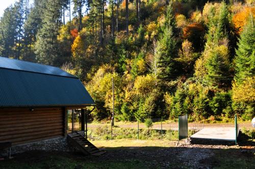 Soymy Ski Chalet | Гостьовий дім Секвойя