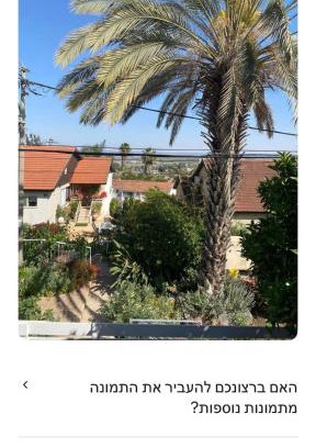 Hazor Haglilit House | צל האורנים
