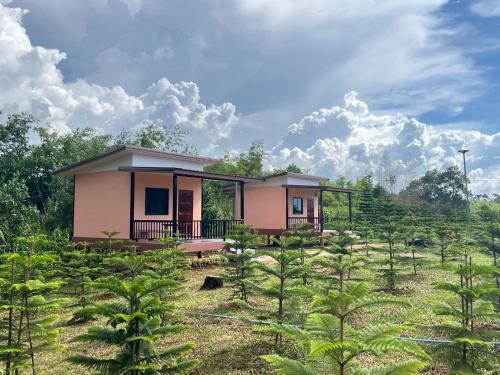 Khao Kho House | บ้านสวนหมอกเขาค้อ b2