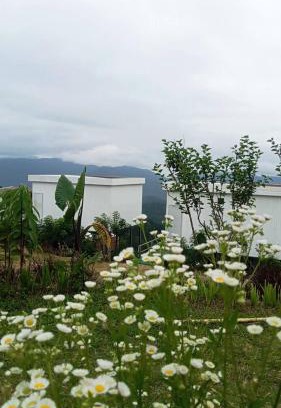 Mae Rim House | ภูศิโยน ม่อนแจ่ม