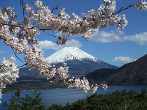 Minobu Hotel | 本栖湖畔 民宿 浩庵 Kouan guesthouse at Lake Motosu