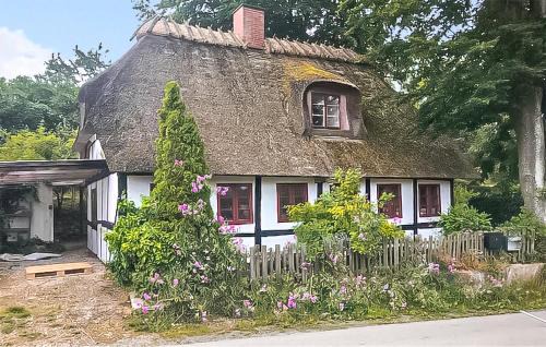 Langeland Municipality House | 1 Bedroom Awesome Home In Rudkøbing