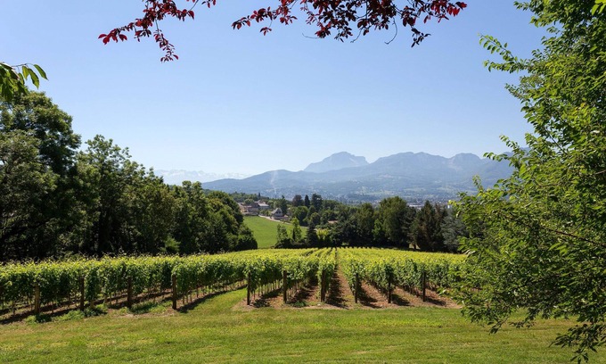Chambery Apartment | 10 mins de Chambéry ! Chateau, Piscine, Fitness