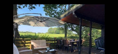 Cenarth House | 11 Tan-y-coed Woodland Lodge