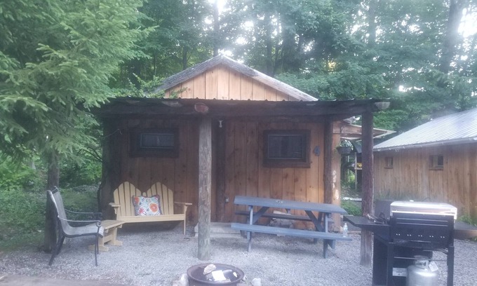 Trumansburg Cabin | 2 bed, 1 bath lake property!