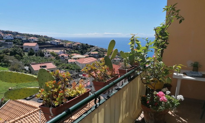 Estrela da Calheta Apartment | 2 bedroom apartment in Estrela da Calheta, 5 minutes from Calheta beach