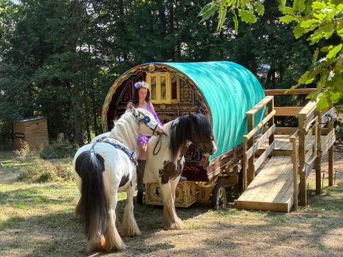 Longhope Ski Chalet | 2 Guests - Pet Friendly - Traditional Gypsy Vardo