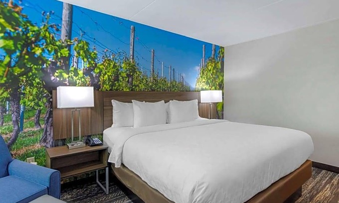 Charlottesville Hotel | 2-Star Hotel ∙ Clarion Pointe Charlottesville