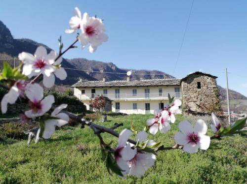 Envie Bed & Breakfast | 20 m² Bed and breakfast ∙ 2 guests