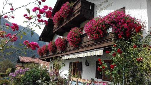 Bayrischzell Bed & Breakfast | 20 m² Bed and breakfast ∙ 3 guests
