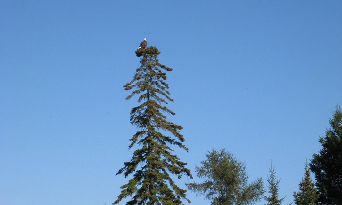 Mackinaw City Condo | 24 Beach & Pool Condo